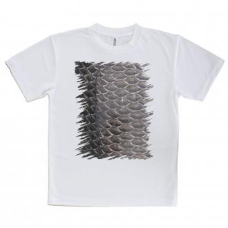 【Tシャツ】クロダイ鱗