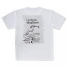 【Tシャツ】川の狩人カワセミ