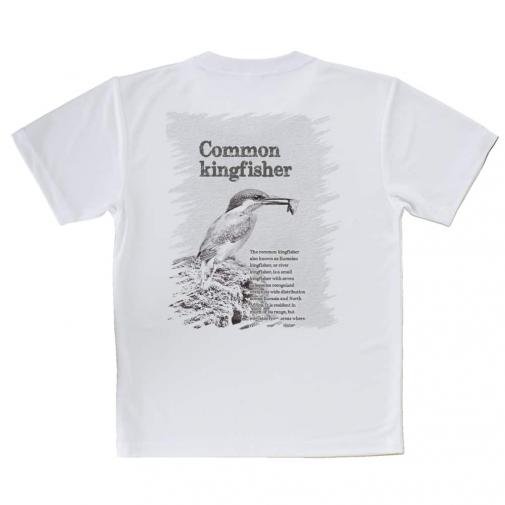 【Tシャツ】川の狩人カワセミ