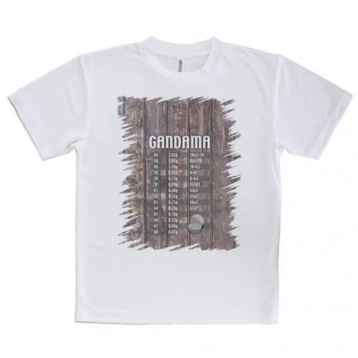 【Tシャツ】ガン玉換算表