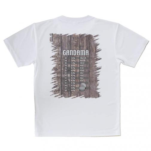 【Tシャツ】ガン玉換算表