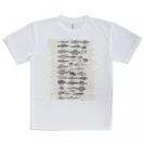 【Tシャツ】魚図鑑　1890年版