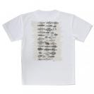 【Tシャツ】魚図鑑　1890年版