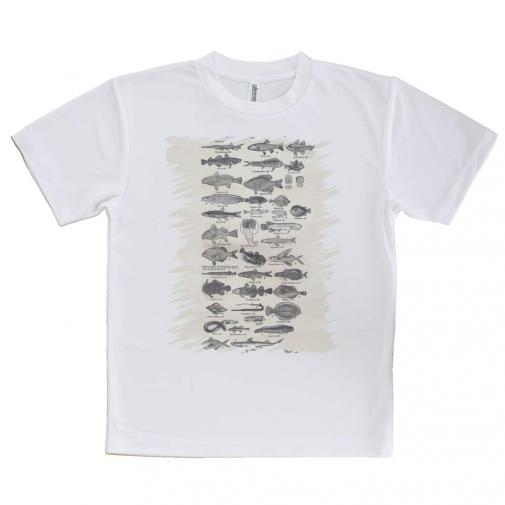 【Tシャツ】魚図鑑　1890年版