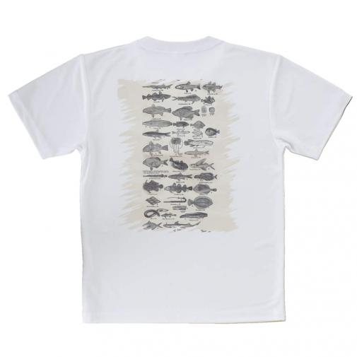 【Tシャツ】魚図鑑　1890年版