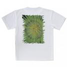 【Tシャツ】サンゴ　#2