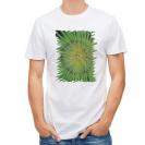 【Tシャツ】サンゴ　#2