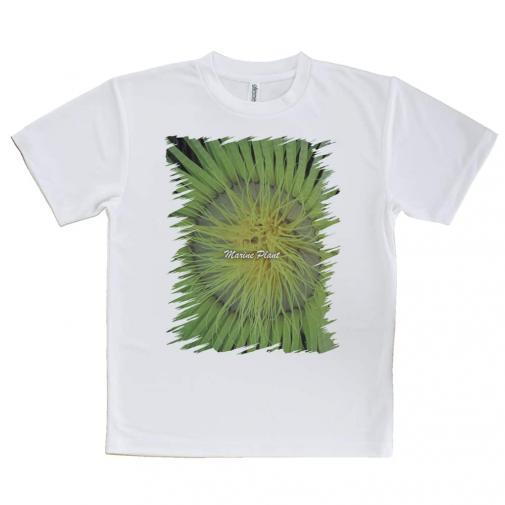 【Tシャツ】サンゴ　#2