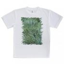 【Tシャツ】サンゴ　#6