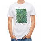 【Tシャツ】サンゴ　#6