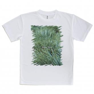 【Tシャツ】サンゴ　#6