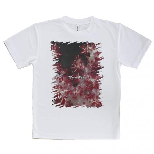 【Tシャツ】サンゴ #8