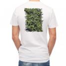 【Tシャツ】サンゴ　#9