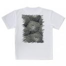 【Tシャツ】サンゴ　#11