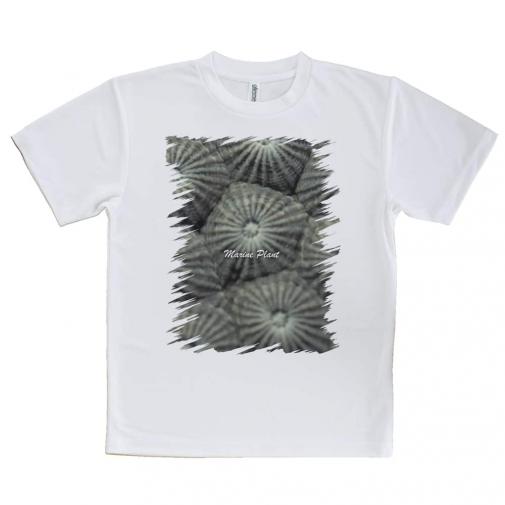 【Tシャツ】サンゴ #11