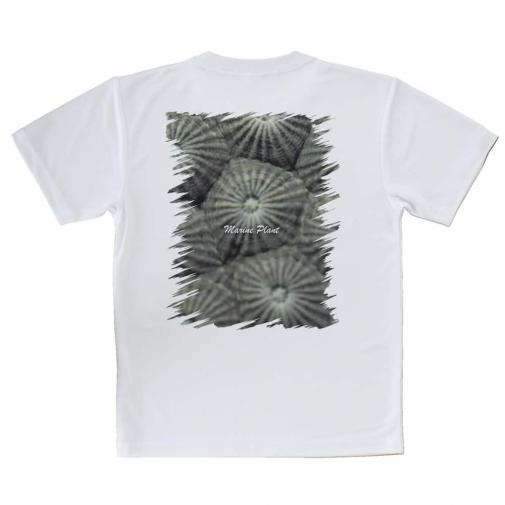 【Tシャツ】サンゴ　#11