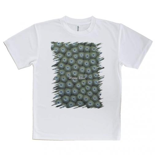 【Tシャツ】サンゴ #12