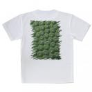 【Tシャツ】サンゴ　#13