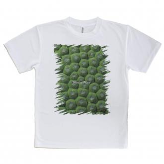 【Tシャツ】サンゴ　#13