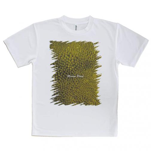 【Tシャツ】サンゴ #14