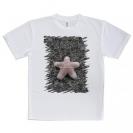 【Tシャツ】サンゴ　#17