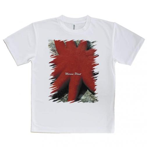 【Tシャツ】サンゴ #18