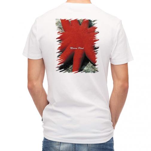 【Tシャツ】サンゴ　#18