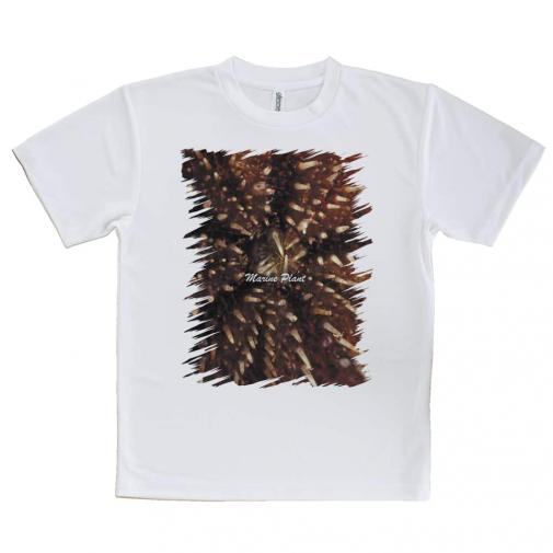 【Tシャツ】サンゴ #19