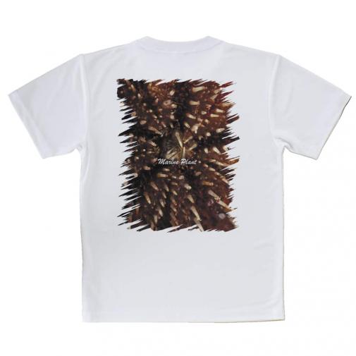 【Tシャツ】サンゴ　#19