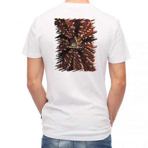 【Tシャツ】サンゴ　#19