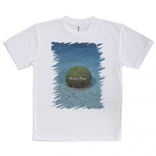【Tシャツ】サンゴ #20