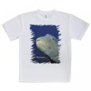 【Tシャツ】水中　ナポレオンフィッシュ