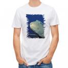 【Tシャツ】水中　ナポレオンフィッシュ