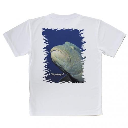【Tシャツ】水中　ナポレオンフィッシュ