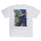 【Tシャツ】熱帯魚　No.1　マツカサ類