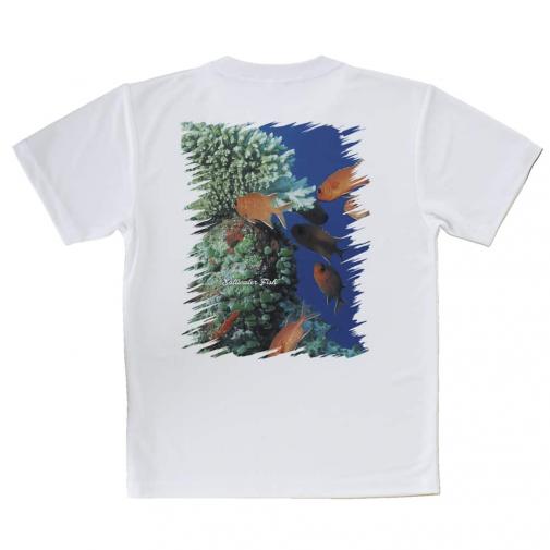 【Tシャツ】熱帯魚　No.1　マツカサ類