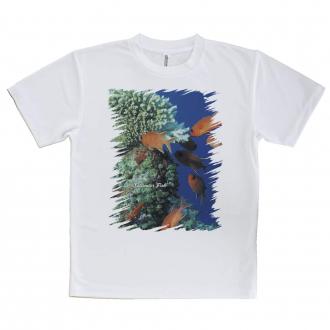 【Tシャツ】熱帯魚　No.1　マツカサ類