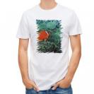 【Tシャツ】熱帯魚　No.3　ハマクマノミ