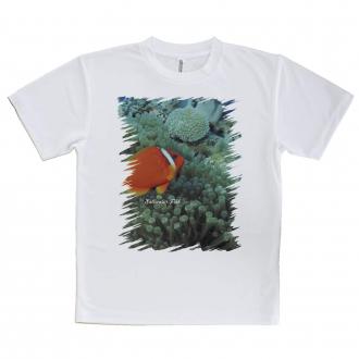 【Tシャツ】熱帯魚　No.3　ハマクマノミ