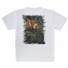 【Tシャツ】熱帯魚　No.4　カクレクマノミ