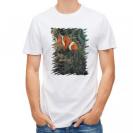 【Tシャツ】熱帯魚　No.4　カクレクマノミ