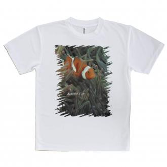 【Tシャツ】熱帯魚　No.4　カクレクマノミ