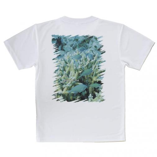 【Tシャツ】熱帯魚　No.6　デバスズメ