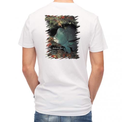 【Tシャツ】熱帯魚　No.7　アオブダイ