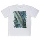 【Tシャツ】熱帯魚　No.8　キュウセンベラ