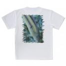 【Tシャツ】熱帯魚　No.8　キュウセンベラ