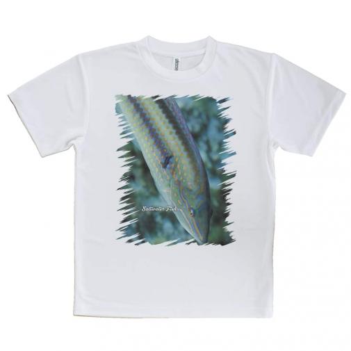 【Tシャツ】熱帯魚 No.8 キュウセンベラ