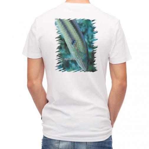 【Tシャツ】熱帯魚　No.8　キュウセンベラ