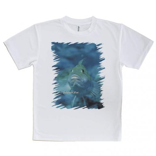 【Tシャツ】熱帯魚 No.9 クジメ