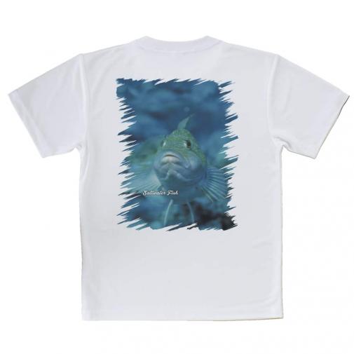 【Tシャツ】熱帯魚　No.9　クジメ